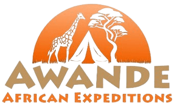 Awande African Expeditions logo